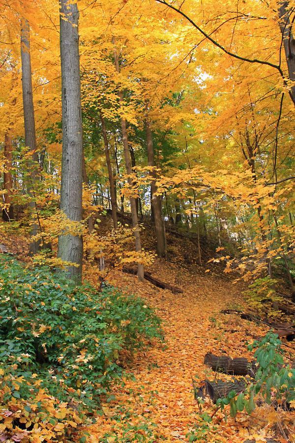 Robert Frost Mountain Cabins Middlebury Εξωτερικό φωτογραφία