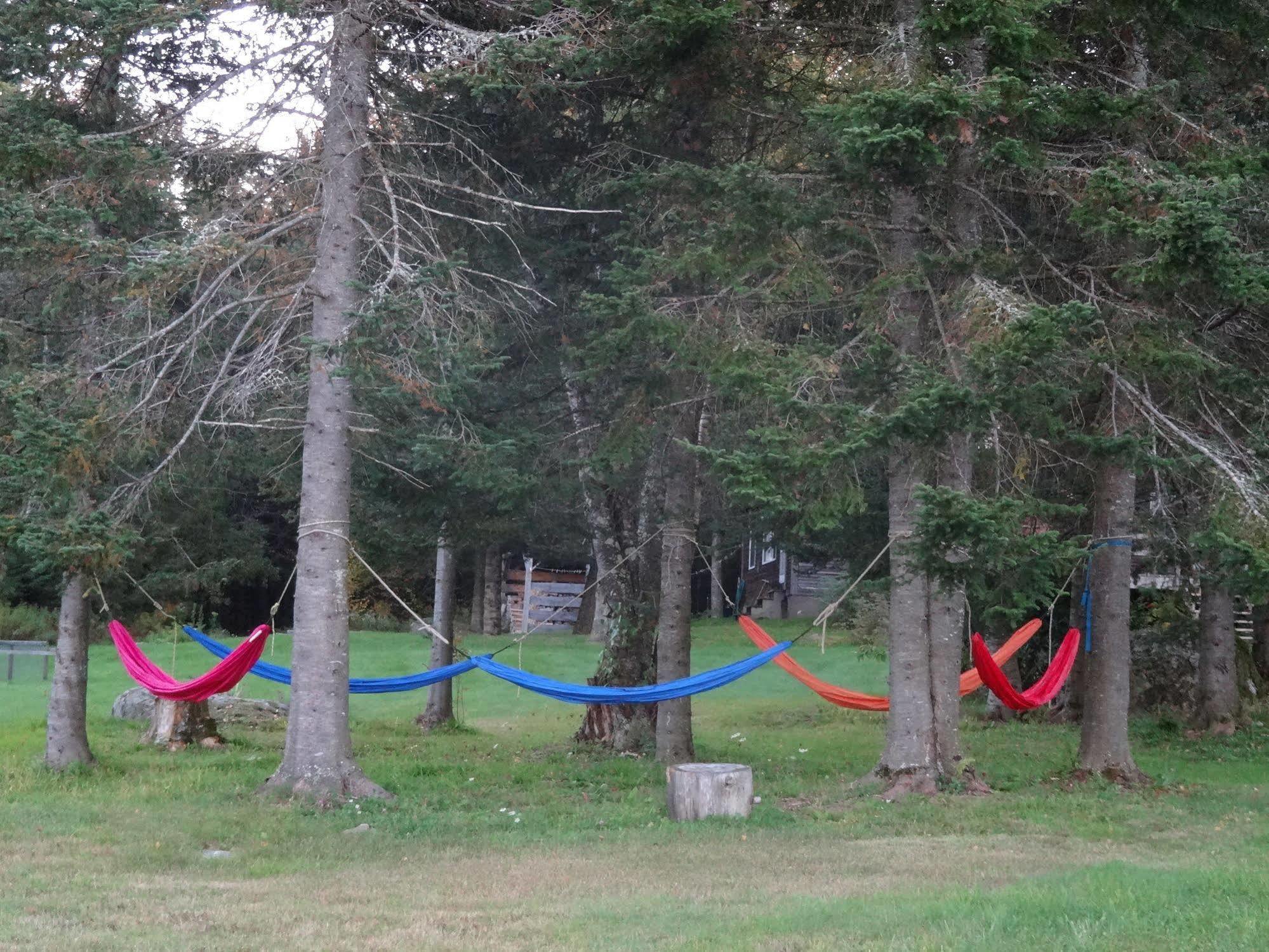 Robert Frost Mountain Cabins Middlebury Εξωτερικό φωτογραφία