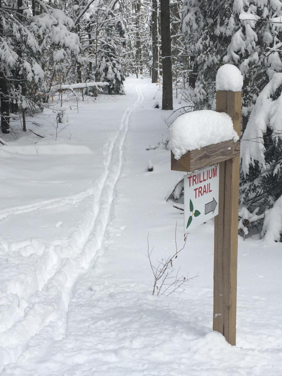 Robert Frost Mountain Cabins Middlebury Εξωτερικό φωτογραφία